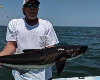 virginia beach fishing 15 20200907