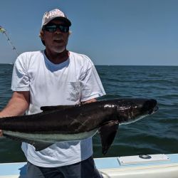 virginia beach fishing 15 20200907