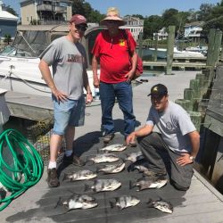 virginia beach fishing 43 20200907