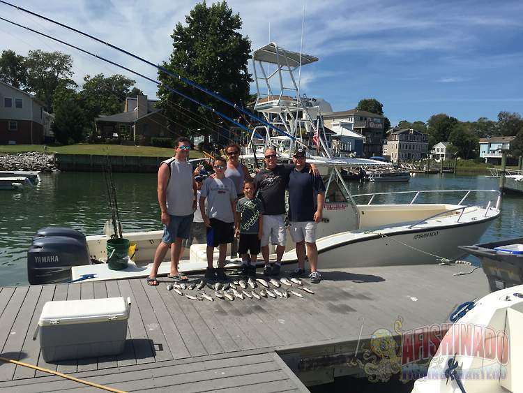 A nice catch of Flounders aboard a Virginia Beach fishing charter